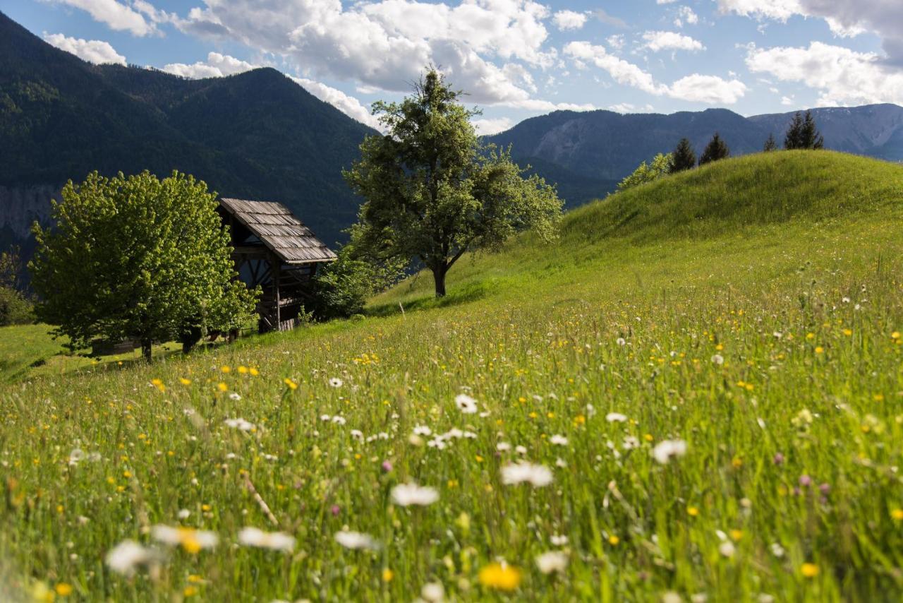 Naturhotel Landhof Irschen Eksteriør billede